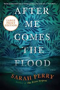 After Me Comes the Flood