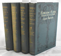 cover of The Flowering Plants, Grasses, Sedges & Ferns of Great Britain and Their Allies, the Club Mosses, Horsetails, &c. 4 Vols