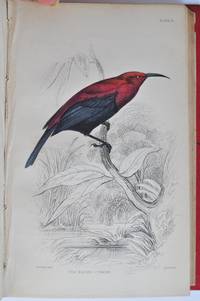 The Natural History of the Birds of Western Africa. Vols I &amp; II. The Naturalist&#039;s Library. Ornithology, Vol VII &amp; VIII by William Swainson, Sir William Jardine - editor