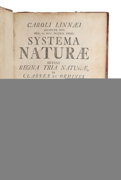 Systema naturae sistens regna tria naturæ, in…