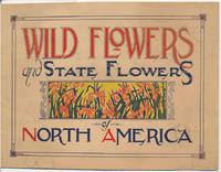 Wild Flowers and State Flowers of North America de GILBERT, Lydia Northrop - 1930