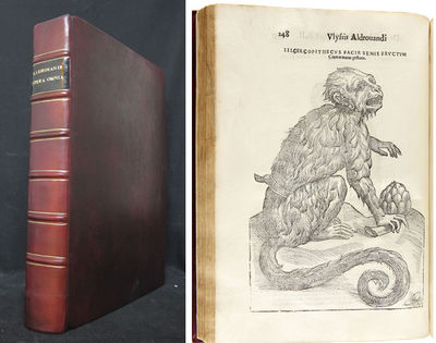 De quadropedib´ digitatis oviparis libri tres et…