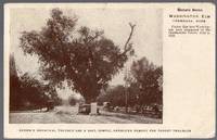 image of 1910 Advertising Postcard for Brown's Bronchial Troches for Throat Troubles