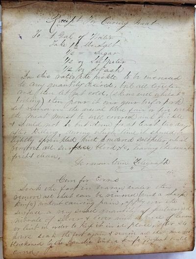 Recipe and record book