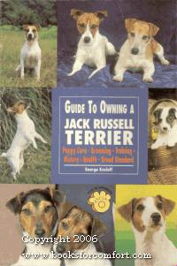 Guide To Owning A Jack Russell Terrier