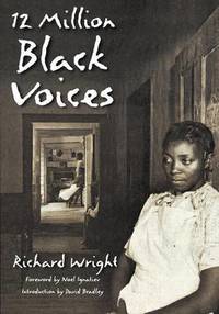 image of 12 Million Black Voices
