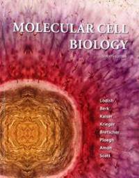 image of Molecular Cell Biology
