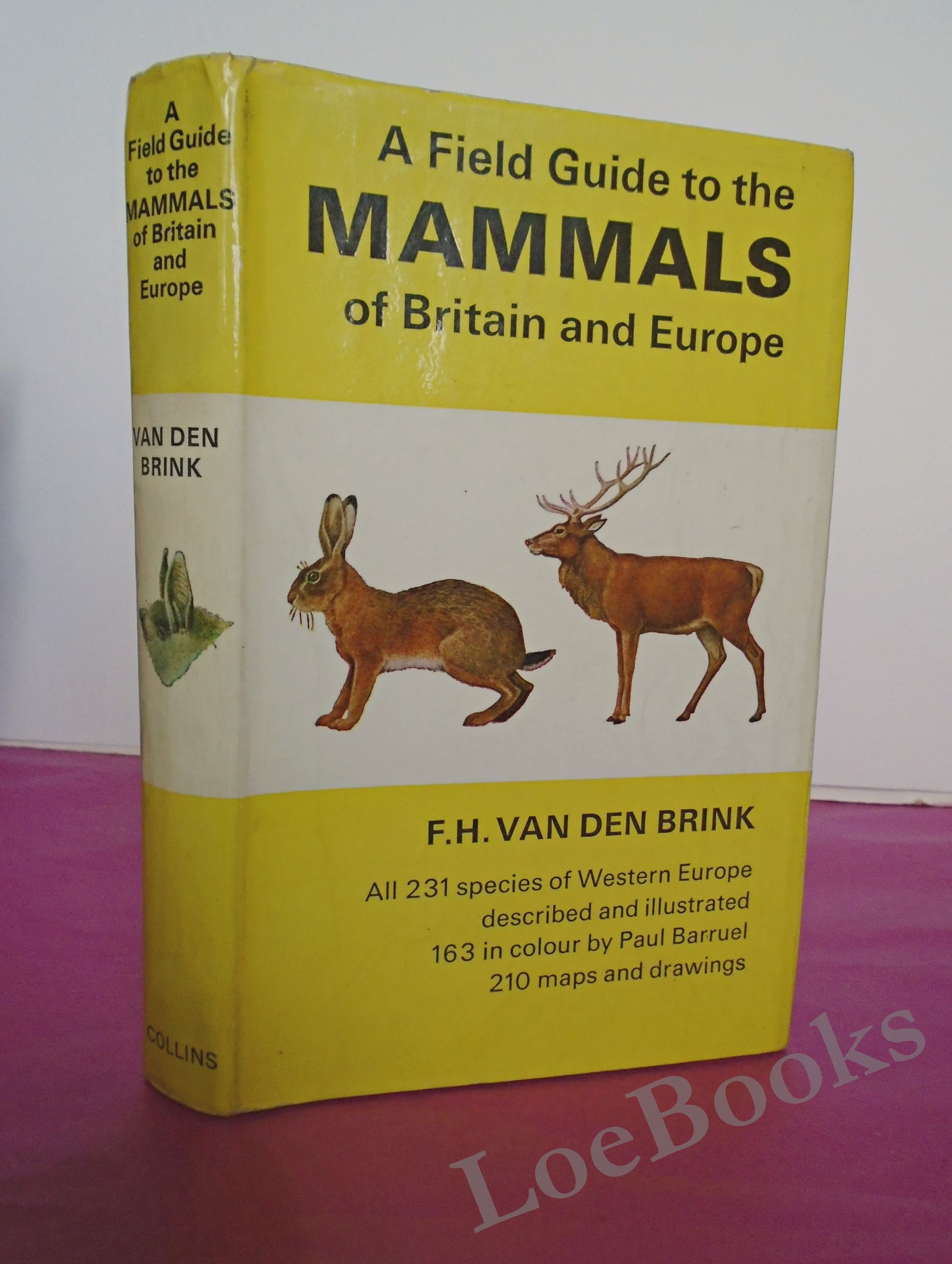 A Field Guide To The Mammals Of Britain And Europe By F H Van Den Brink First Edition 1967 From Loe Books Sku 033397