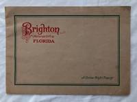 image of Brighton: Nature's Gift To Florida