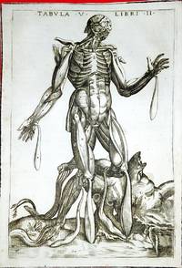 Anatomia del corpo humano nuovamente ristampata e con l