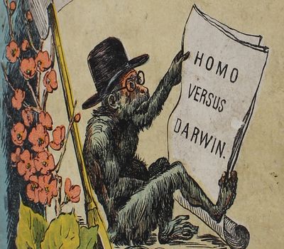 Saru no Saiban: Yusho Reppai. - [THE FIRST REPUDIATION OF DARWIN'S THEORY OF EVOLUTION IN JAPANESE] (photo 2)
