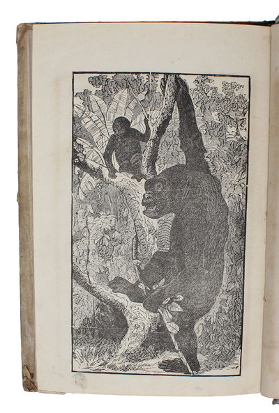 Saru no Saiban: Yusho Reppai. - [THE FIRST REPUDIATION OF DARWIN'S THEORY OF EVOLUTION IN JAPANESE] (photo 4)
