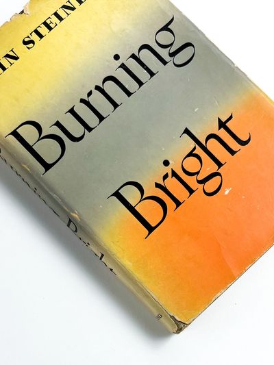BURNING BRIGHT: A Play in Story Form