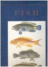 CLASSIC NATURAL HISTORY PRINTS - FISHES