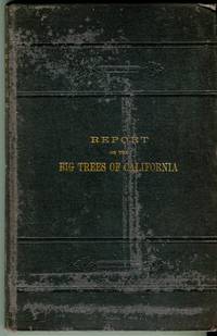 Report on the Big Trees of California by Division of Forestry, U.S. Department of Agriculture (prepared by) - 1900