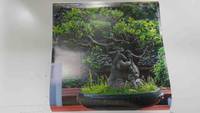 Calendario / Kalender / Calendrier / Calendar: 2011 : Bonsais - lamina 04, Bonsai al La Bambouseraie