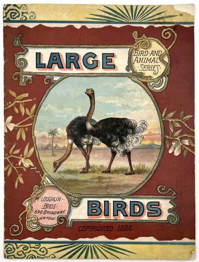 Large Birds