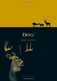 Deer (Animal)