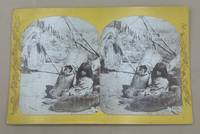 Indians of the Colorado Valley. No. 106. U-In-Ta-Utes. Living in the U-in-ta Valley, on the Western Slope of the Wasatch Mountains, in Utah. Babe in Cradle