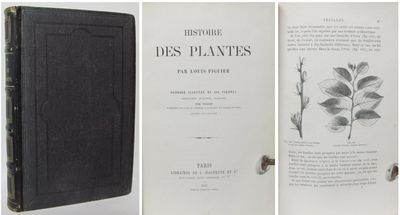 Histoire des plantes. Par Louis Figuier.…