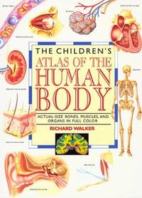 The Children's Atlas of the Human Body: Life-Size Human Anatomy Chart
