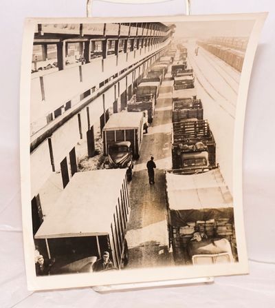 Pigs go to market [press photo]