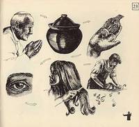 cover of The Dream