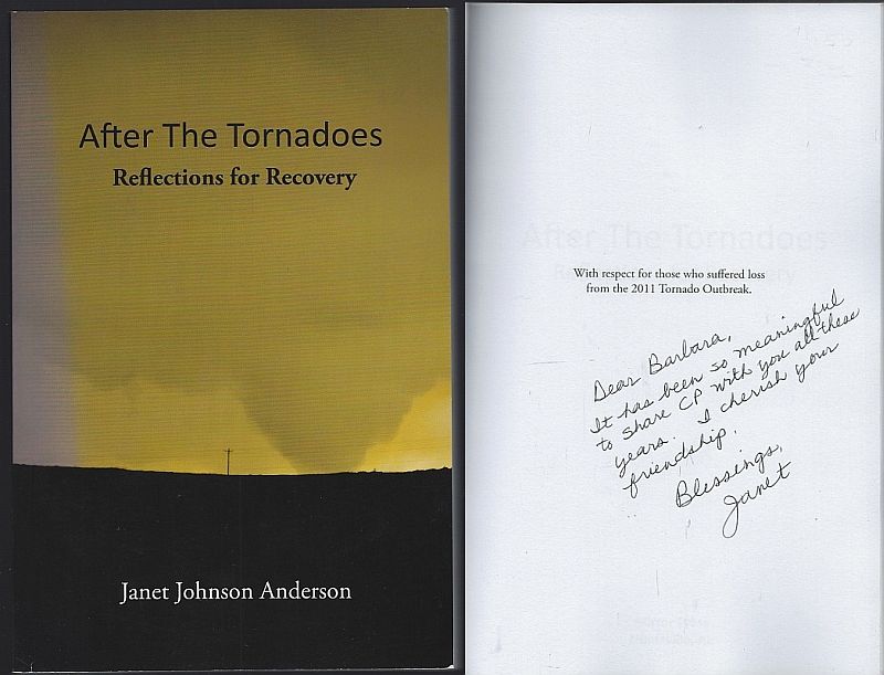 AFTER THE TORNADOES Reflections for Recovery