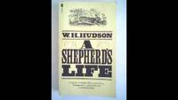 cover of A Shepherd's Life