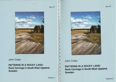 Patterns in a Rocky Land: Rock Carvings in…