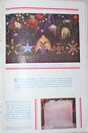 View Image 4 of 12 for Martin's Fireworks Company. Manufacturers of Real Fireworks Displays Inventory #007603
