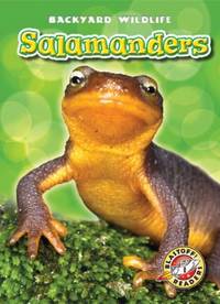 Salamanders