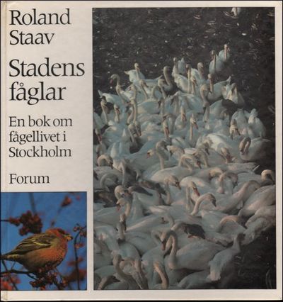 STADENS FÅGLAR. En bok om fågellivet i Stockholm.
