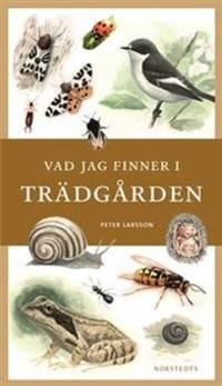 Vad jag finner i trädgården.