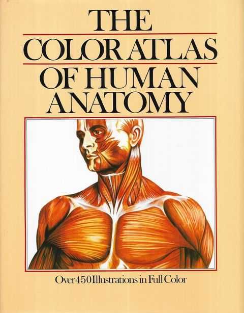 The Colour Atlas of Human Anatomy by Vanio Vannini and Giuliano