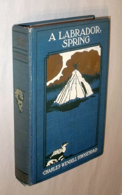 A Labrador Spring.