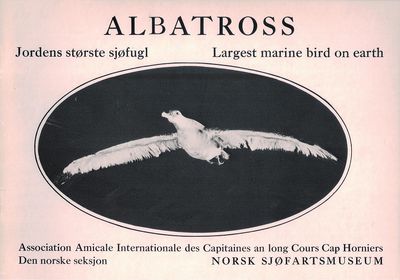 Jorden største sjøfugl. Largest marine bird on…