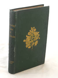 cover of The Grasses, Sedges, and Ferns of Great Britain