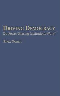 Driving Democracy: Do Power-Sharing Institutions Work?