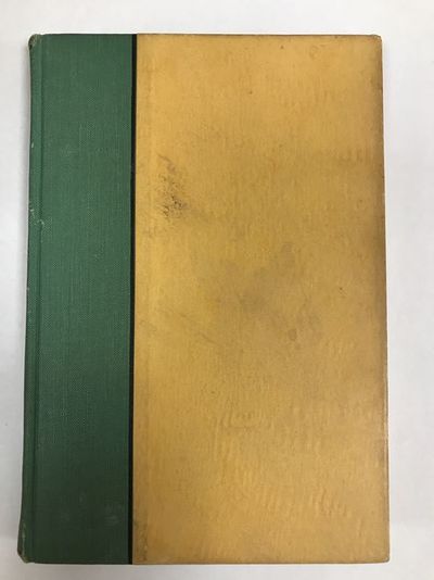 Da han kom tilbake. Roman.