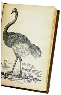 The Book of Birds (Class Aves)