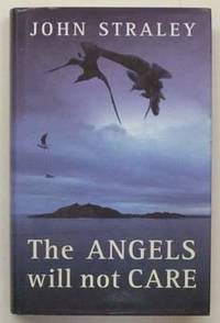 cover of The angels will not care.