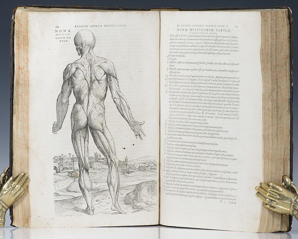 アート・デザイン・音楽 On the Fabric of the Human Body On the Fabric of the Human Body, 1555 | galileo