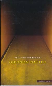 Gjennom natten