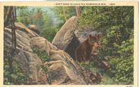 I Can't Bear to leave the Adirondack Mts. unused linen Postcard