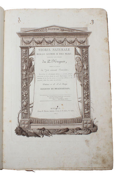 Storia Naturale delle Scimie e dei Maki. Dispositsa con Ordine da P. Hugues, dietro le scoperte dei piu rinomati Naturalisti; Dedicato a S.A. il Principe Eugenio di Reuharnais. (2 Parts). (photo 3)