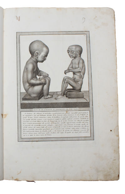 Storia Naturale delle Scimie e dei Maki. Dispositsa con Ordine da P. Hugues, dietro le scoperte dei piu rinomati Naturalisti; Dedicato a S.A. il Principe Eugenio di Reuharnais. (2 Parts). (photo 4)