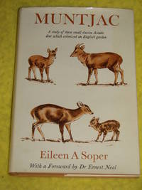 Muntjac, A study of the Asiatic Deer