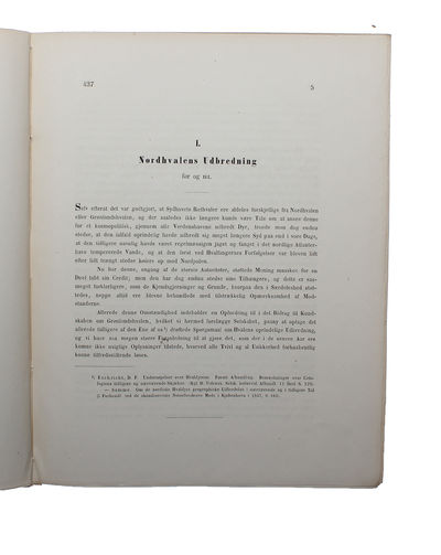 Om Nordhvalen (Balæna Mysticetus L.) navnlig med Hensyn til dens Udbredning i fortiden og Nutiden og til dens ydre og indre Særkjender. - [THE GREENLAND WHALE (BOWHEAD WHALE)] (photo 10)
