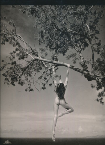 Patrick Demarchelier - Photographs.